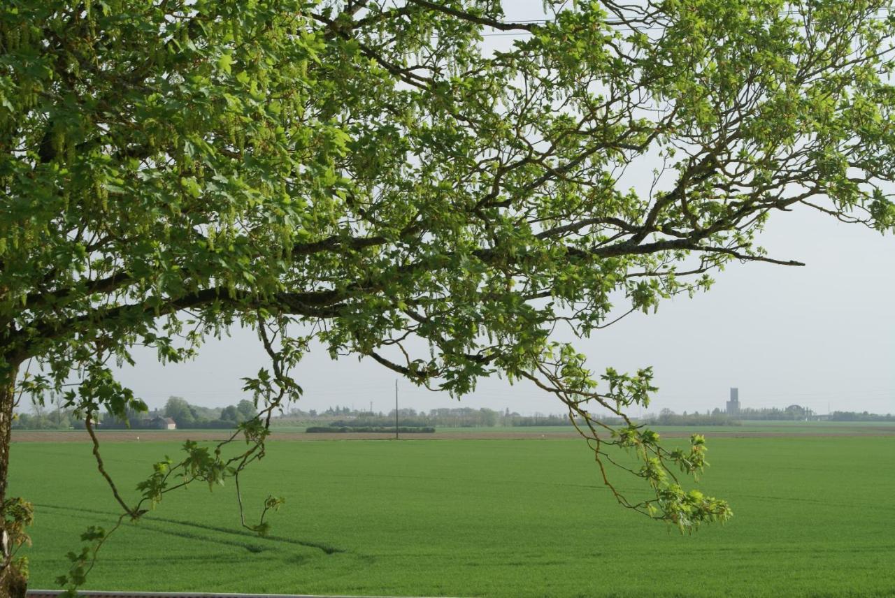 Ferme De Mesangeon Villa Beauvilliers  Buitenkant foto